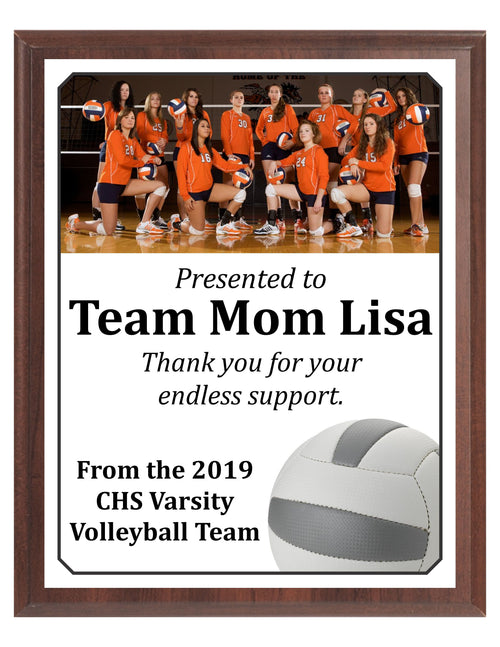 Economy Heat Transfer Team Photo Plaque, Volleyball