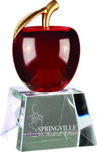 Glass and Crystal Teacher Awards