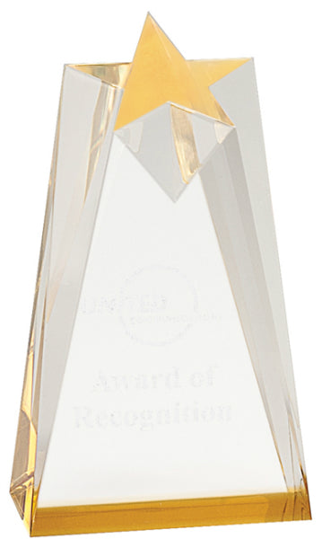 Gold Sculpted Star Acrylic Award