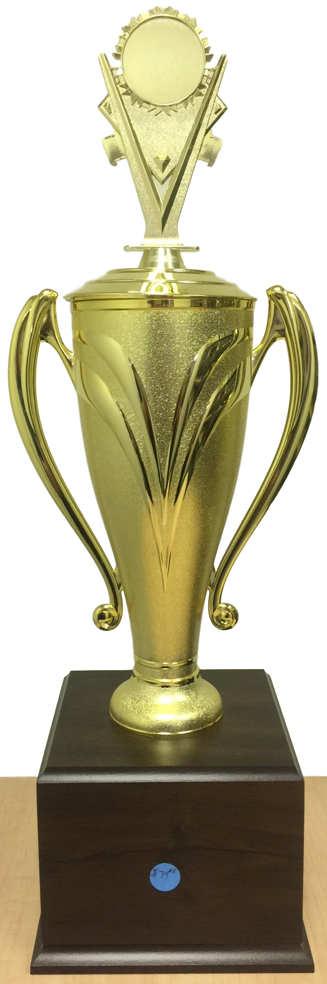 Large Cup Trophy with Custom Insert Holder
