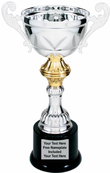 Silver Metal Cup Trophy on Plastic Base, 10"