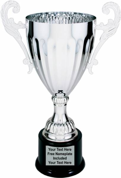 Silver Metal Cup Trophy on Plastic Base, 12"