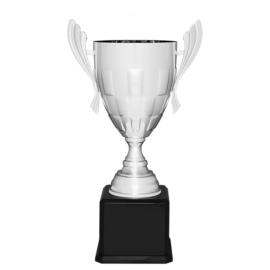 Silver Completed Metal Cup Trophy on Black Royal 24 3/4" Piano Finish Base