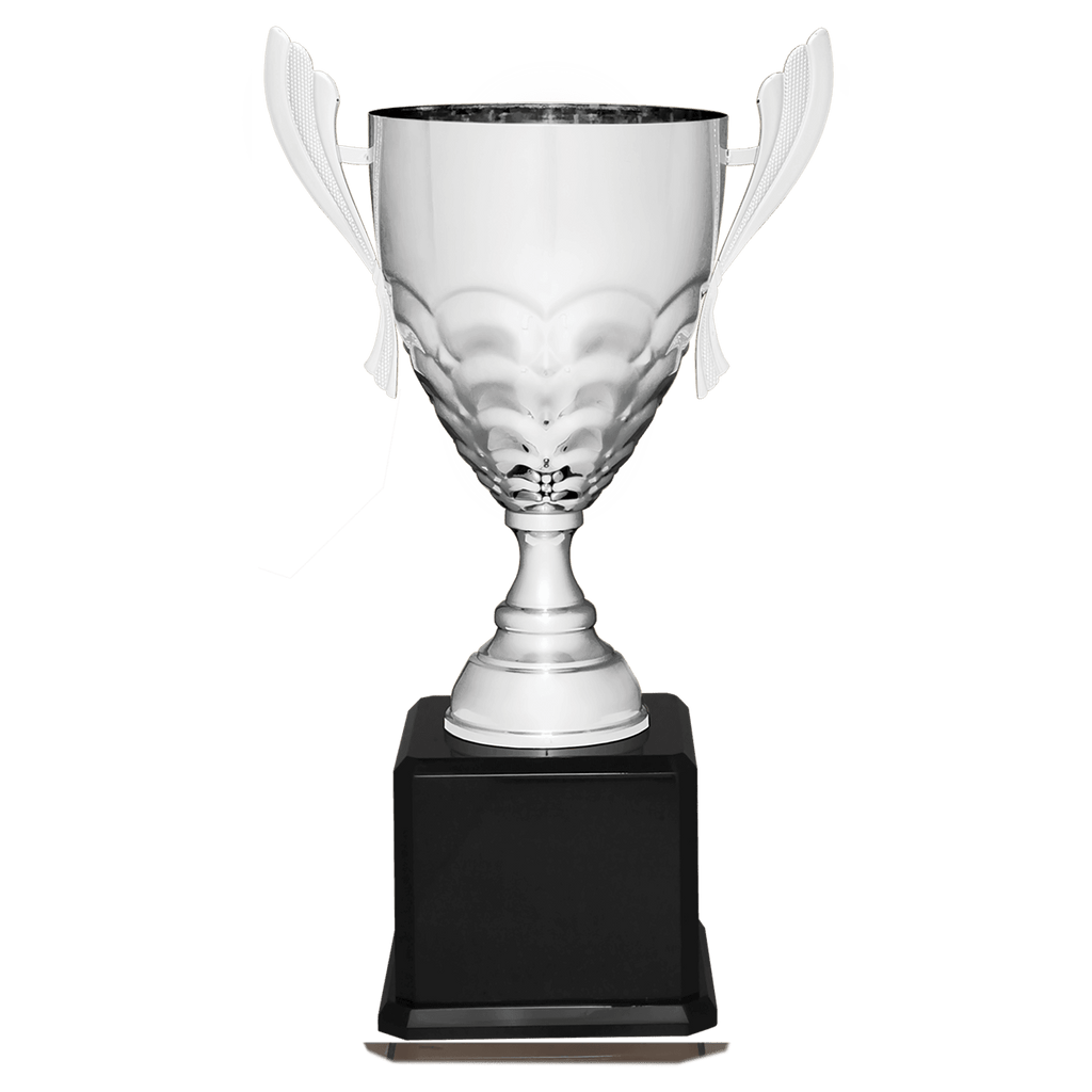 Silver Completed Metal Cup Trophy on Black Royal 23 1/2" Piano Finish Base