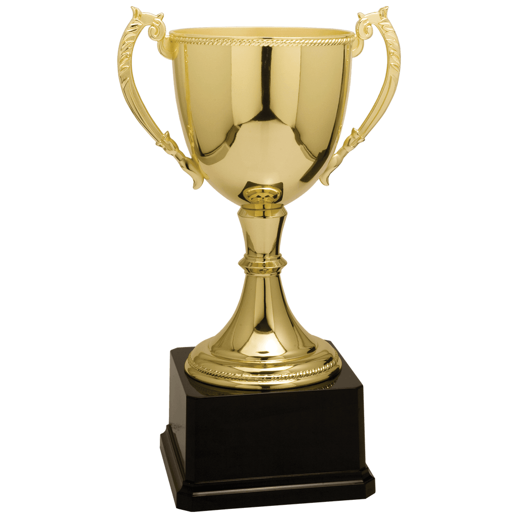 Gold 11" Completed Zinc Cup Trophy