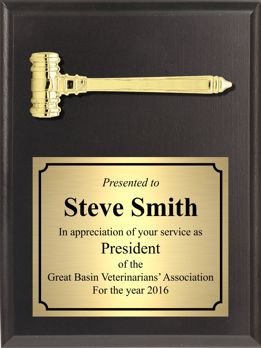 Economy Gavel Plaque, Portrait