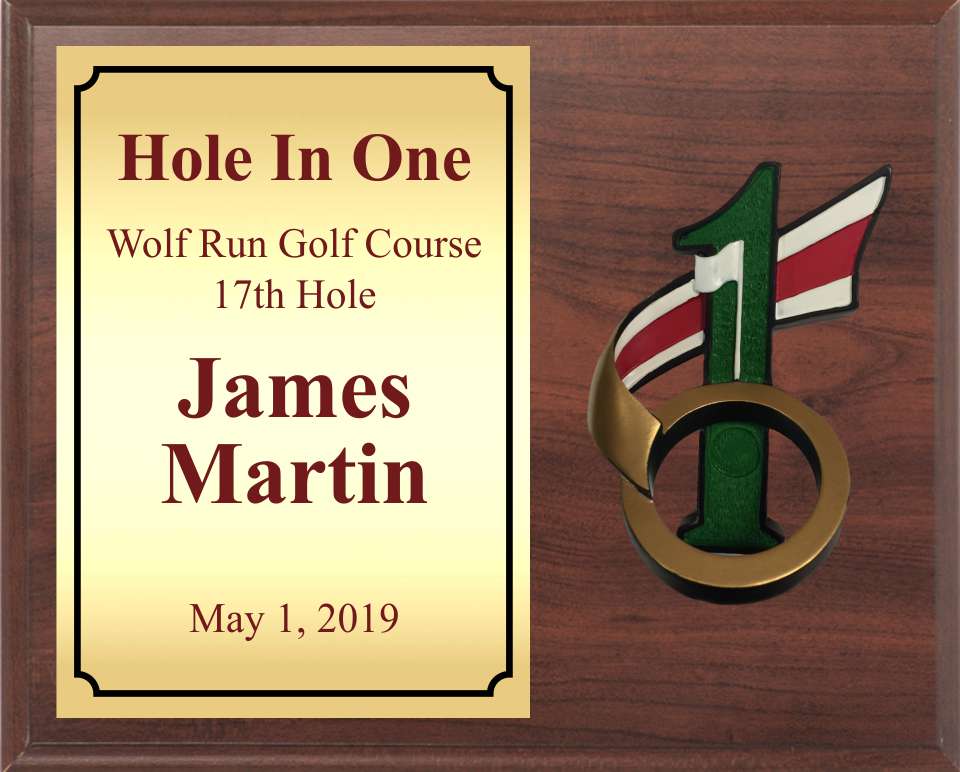 Hole In One Golf Plaque with Resin Ball Holder
