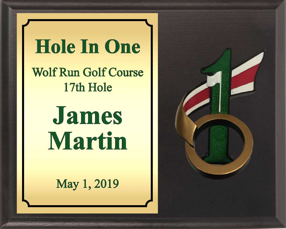 Hole In One Golf Plaque with Resin Ball Holder