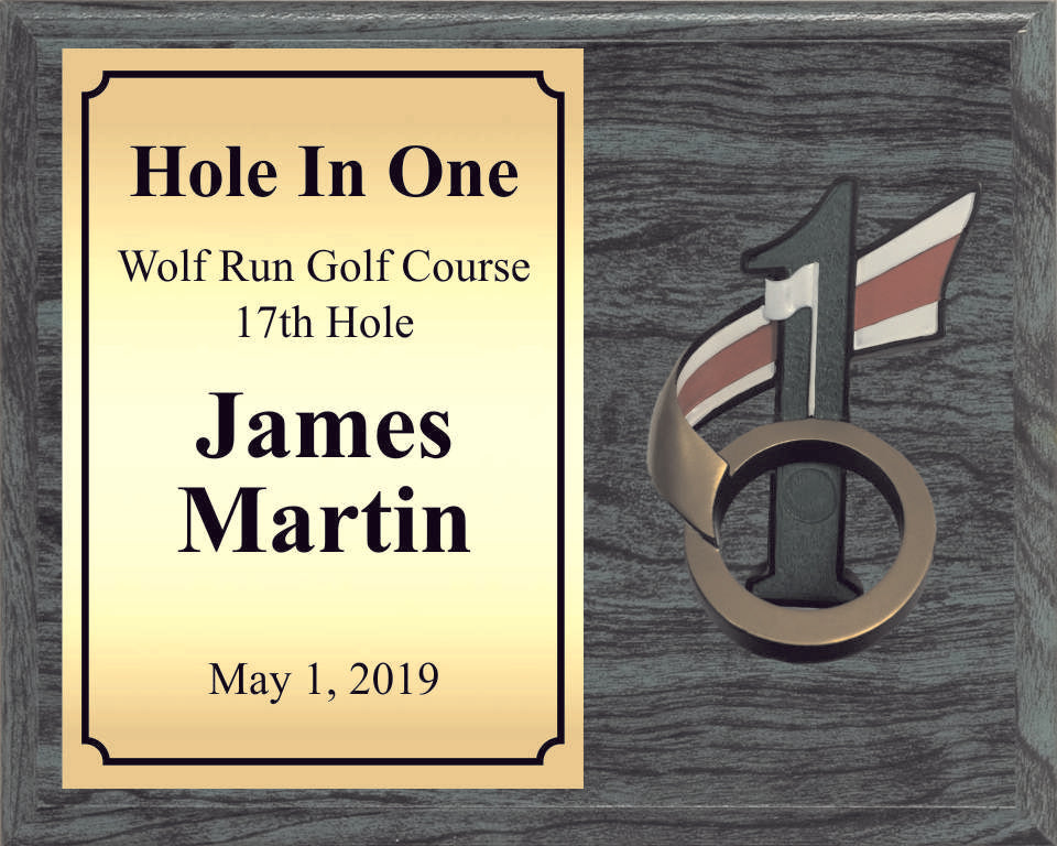 Hole In One Golf Plaque with Resin Ball Holder