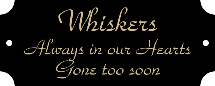 1" x 2 1/2" Black Brass Plate, Engraved