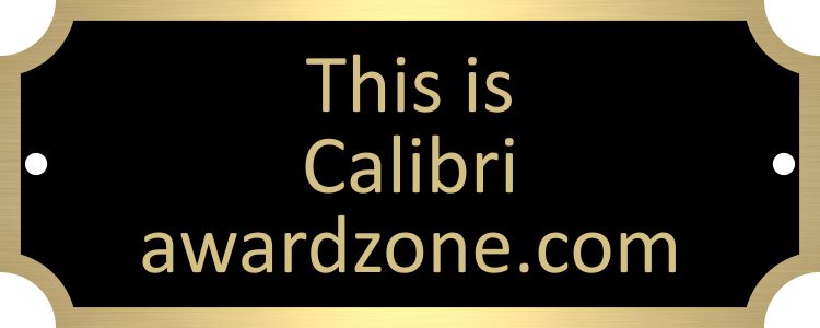 1" x 2 1/2" Black Brass Plate with Gold Border, Engraved