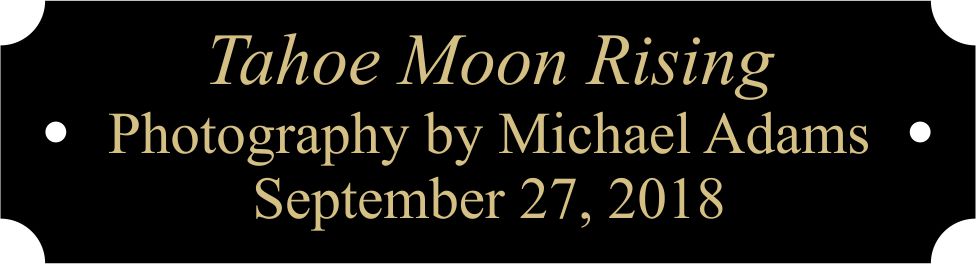 1" x 3 1/4" Black Brass Plate, Engraved
