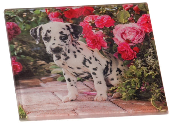 Glossy Art Glass Tile