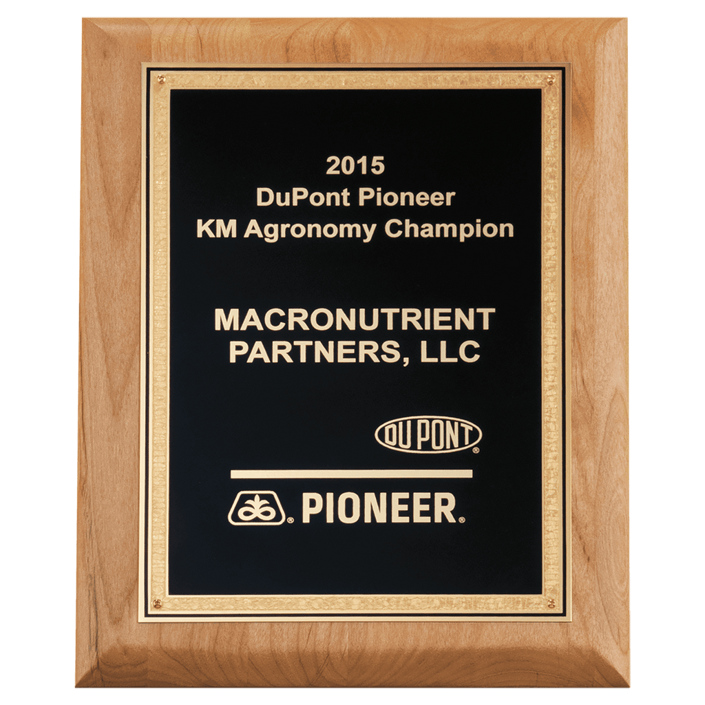 Alder Wood Plaque with Black Textured, Gold 9" x 12" Natural Florentine Bordered LaserFX Plate