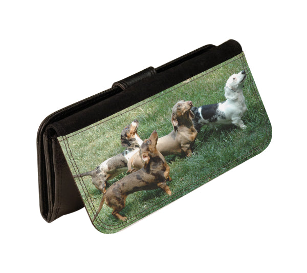 Pvc Wallet
