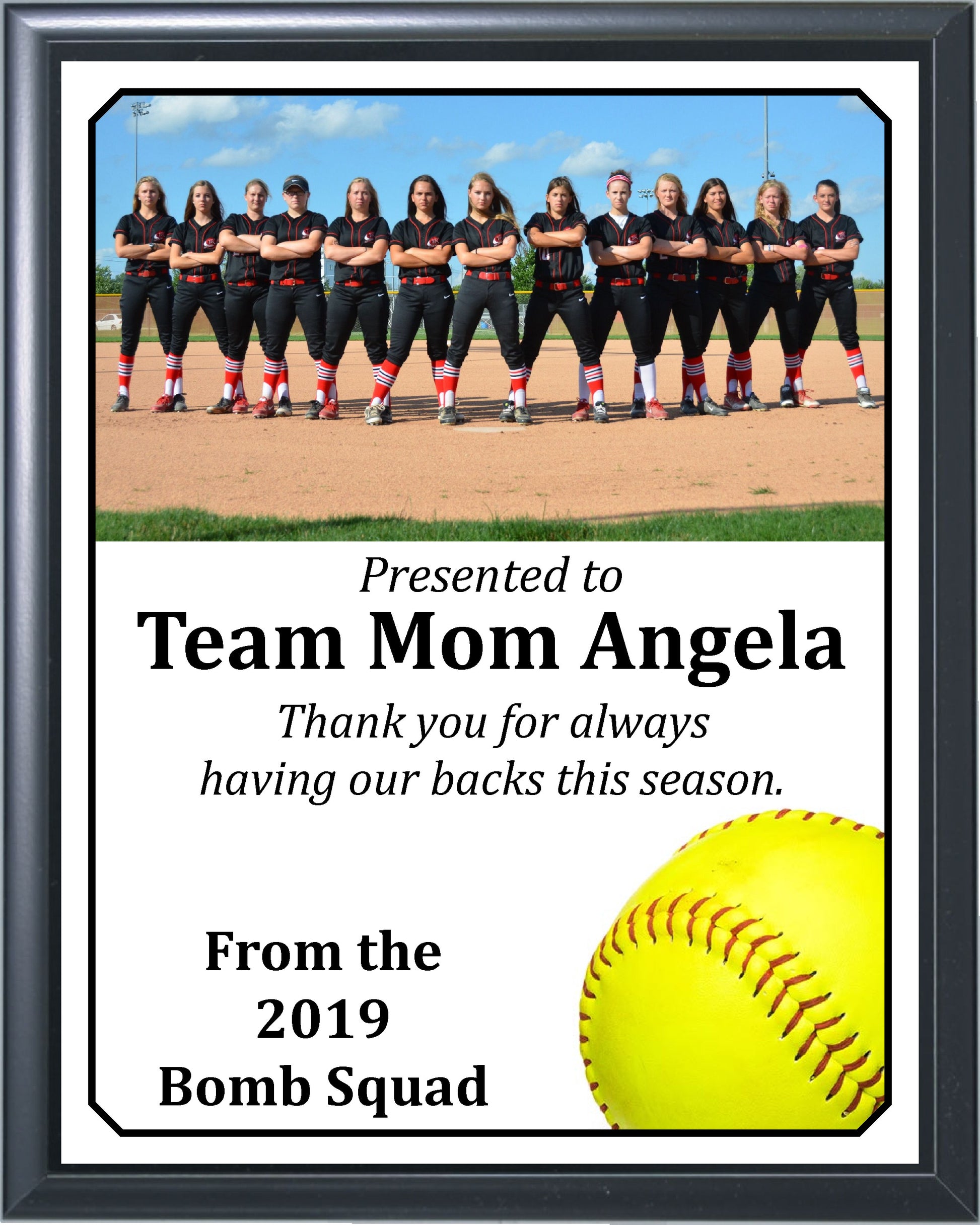 Economy Heat Transfer Team Photo Plaque, Softball