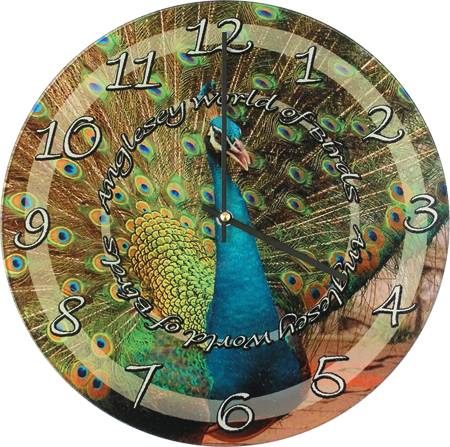 Round Aluminum Clock
