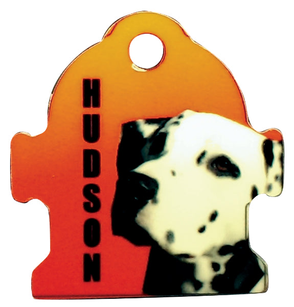 Fire Hydrant Pet Tag