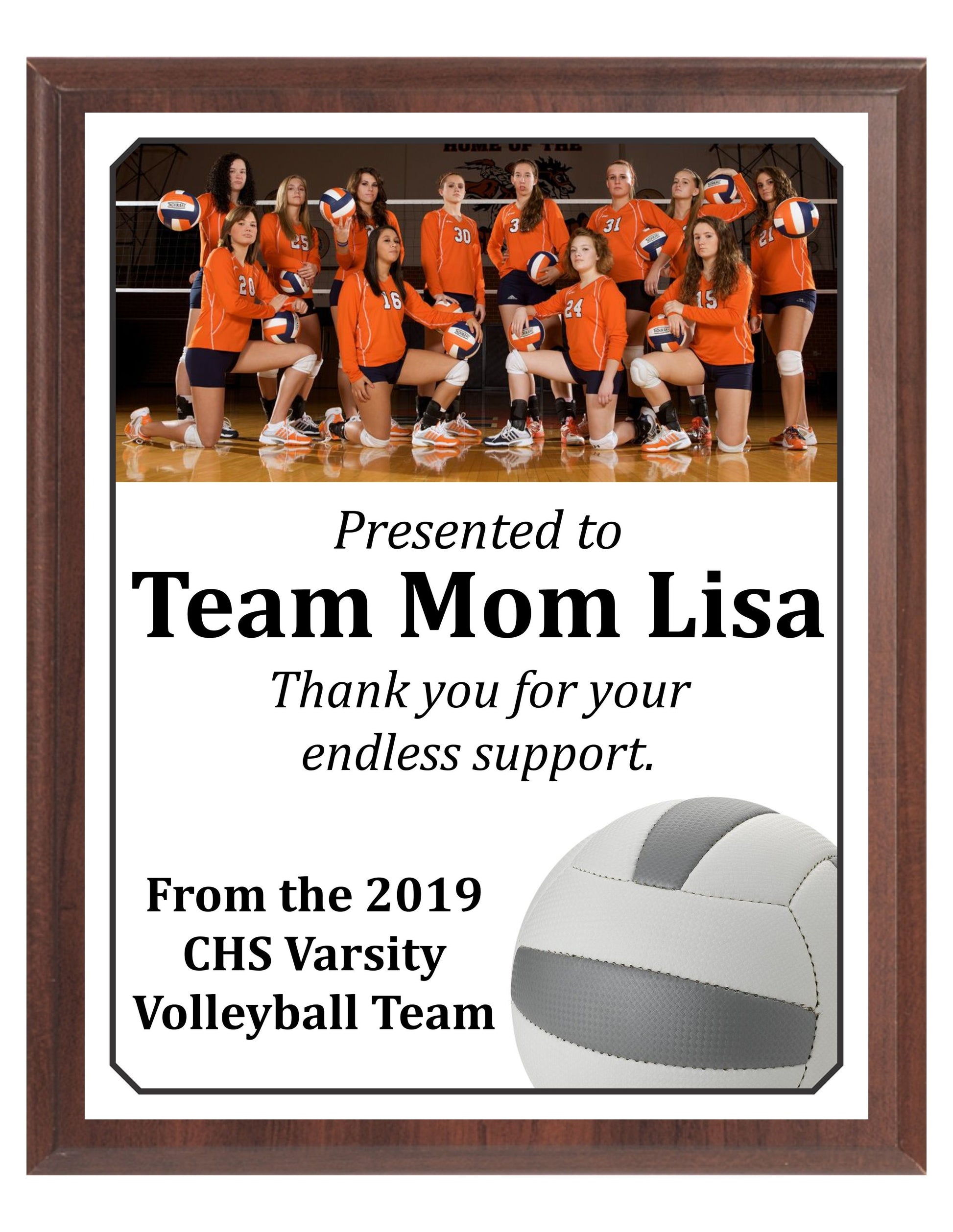 Economy Heat Transfer Team Photo Plaque, Volleyball