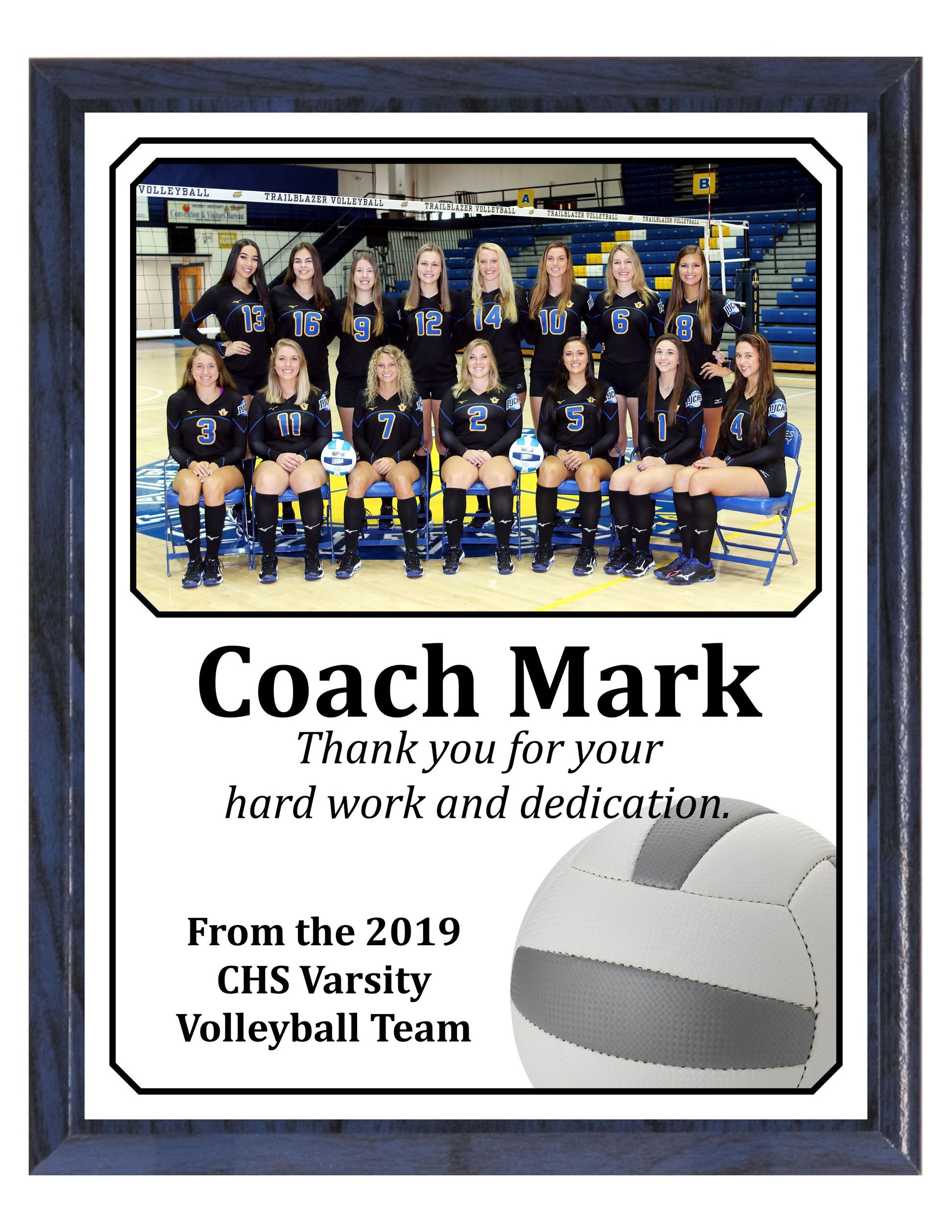 Economy Heat Transfer Team Photo Plaque, Volleyball