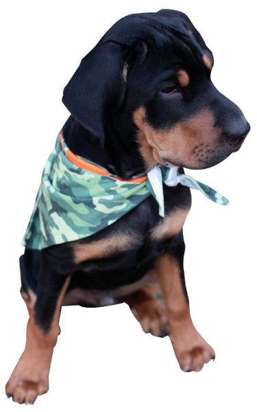 Triangle Cut Dog Bandana