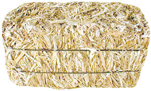 Medium Straw Bale