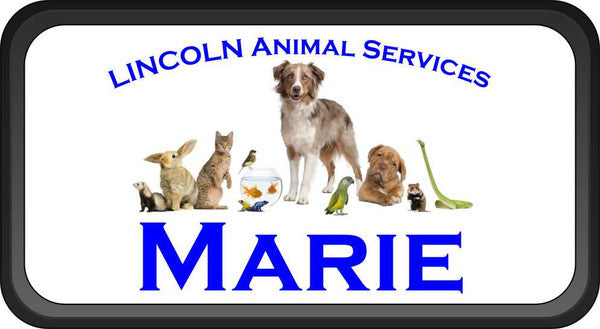 Black Plastic 1 1/2" x 3 Name Badge with Round Corners