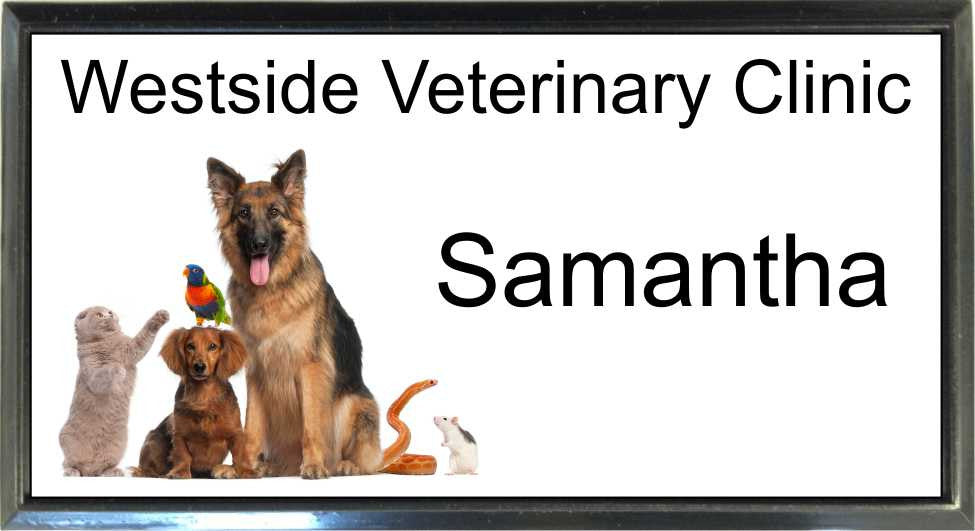 Black Plastic 1 1/2" x 3 Name Badge with Square Corners