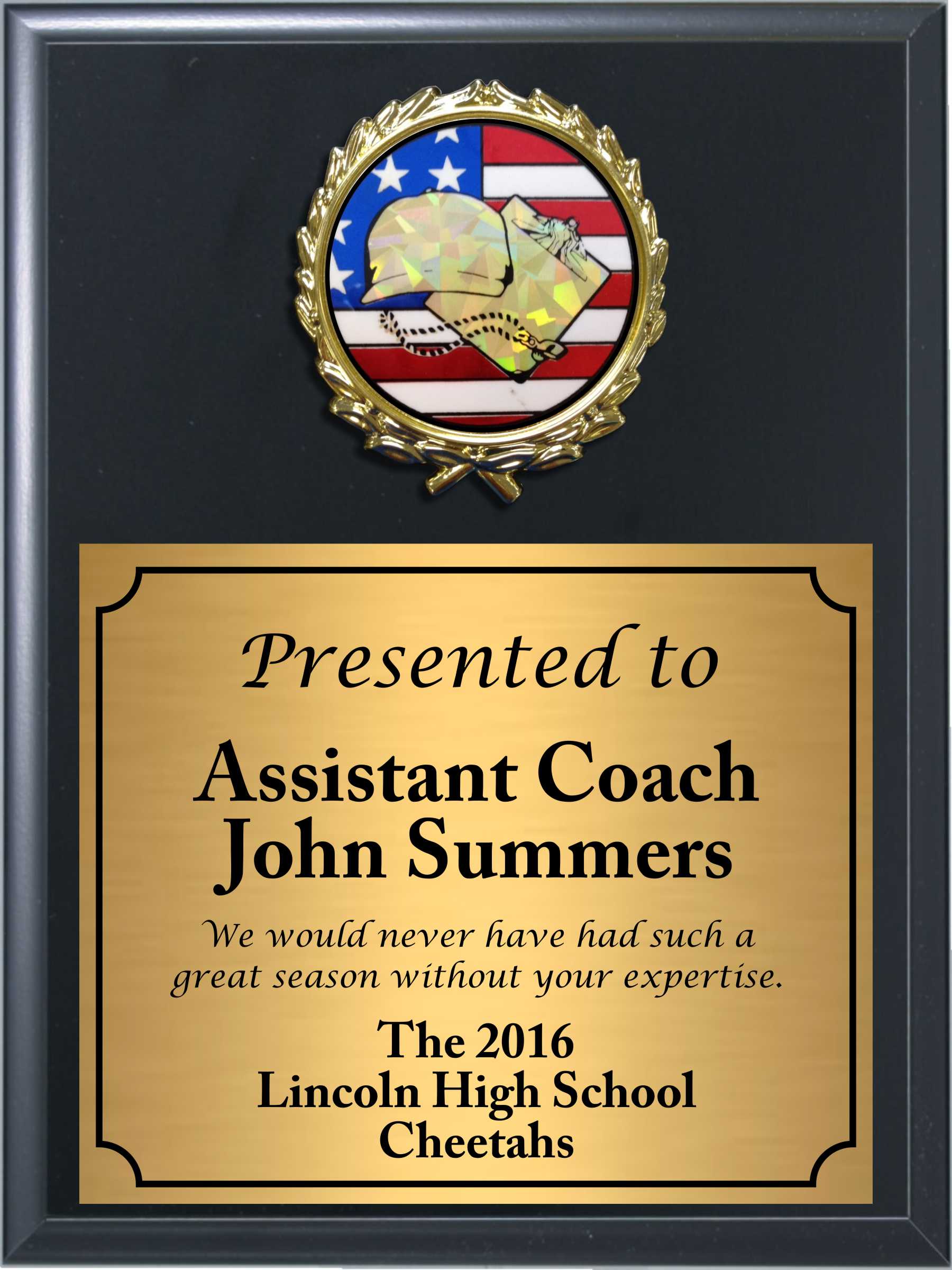 Economy Heat Transfer Coach Plaque with Flag Hologram Coach Medallion