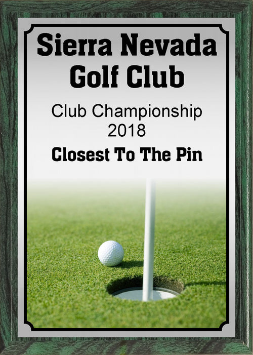 Ball and Pin Golf Plaque