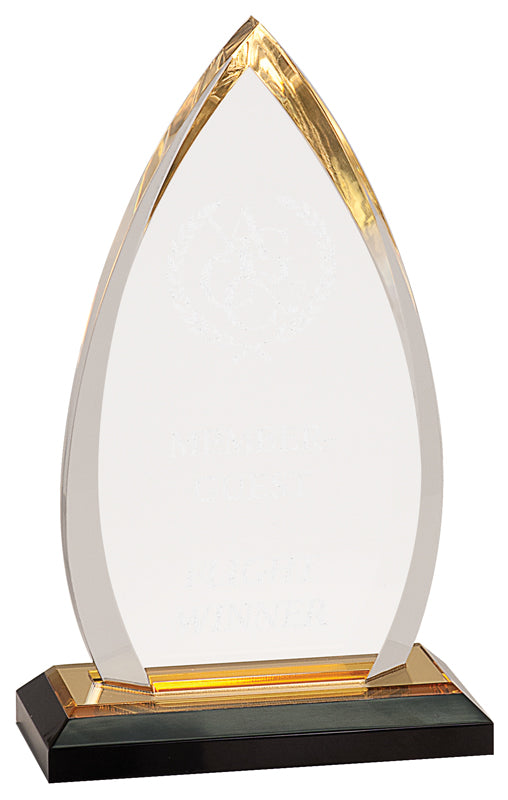 Gold Oval Impress Acrylic Award, 7 3/4"