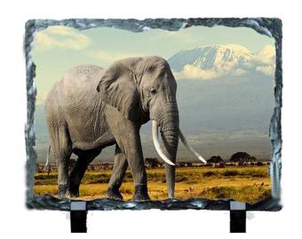 Glossy Finish Rectangle Photo Stone