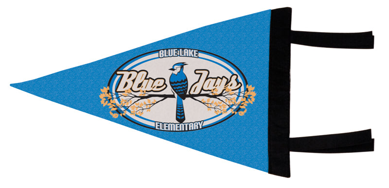Medium Sublimatable Pennant