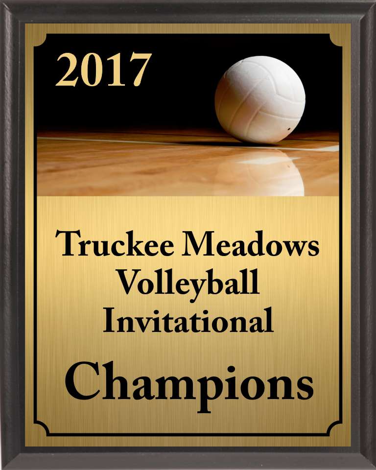 Volleyball On Dark Court Plaque
