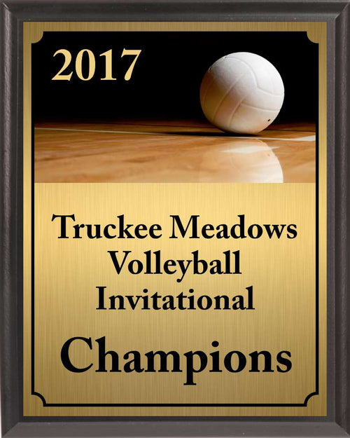 Volleyball On Dark Court Plaque