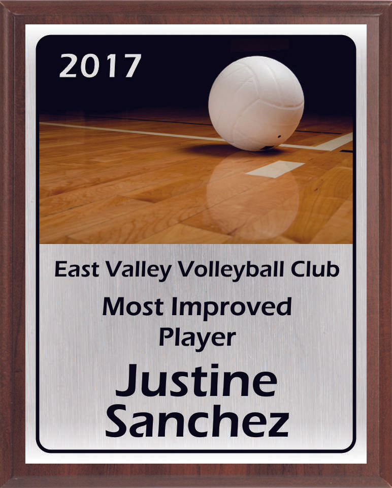 Volleyball On Glossy Court Plaque